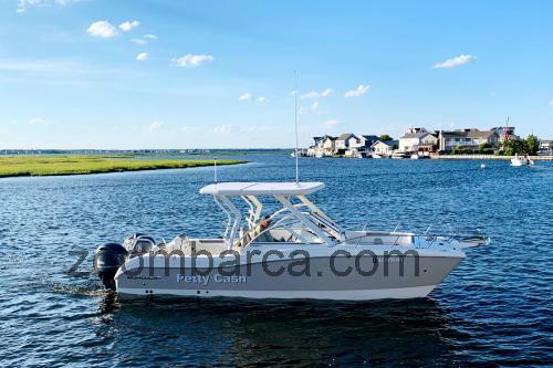 World Cat 255 DC recensioni e scheda tecnica